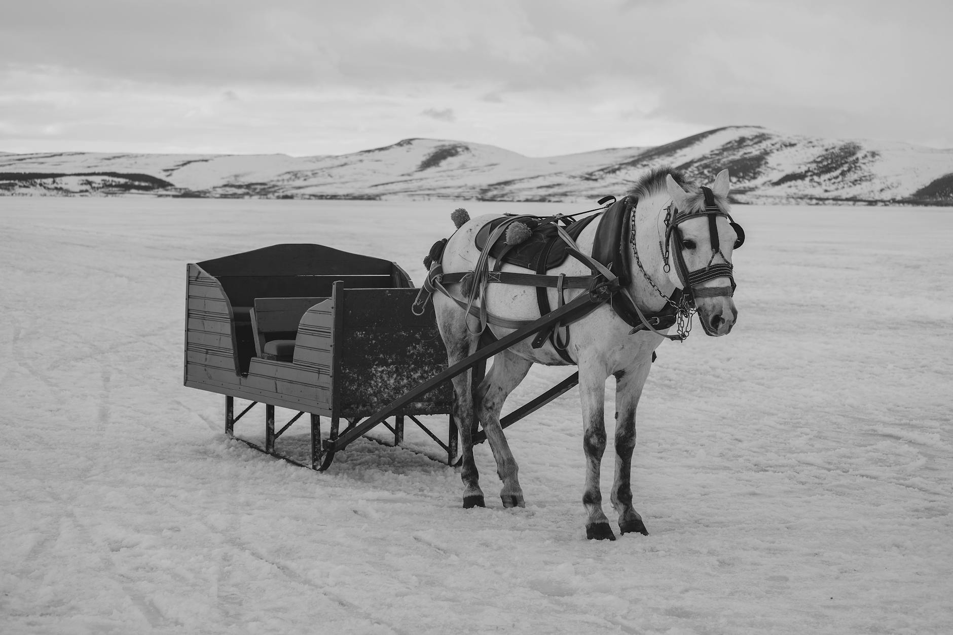 Reminder: Sleigh Ride